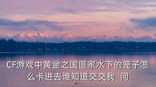 CF游戏中黄金之国匪家水下的笼子怎么卡进去谁知道交交我 问
