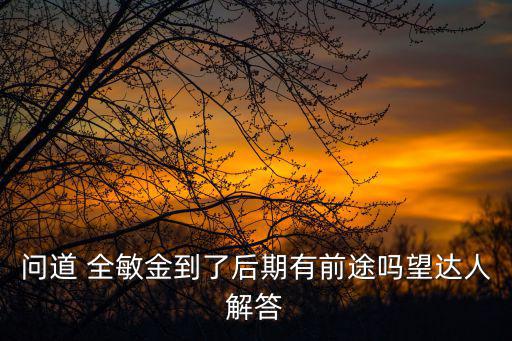 问道 全敏金到了后期有前途吗望达人解答