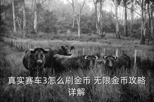 真实赛车3怎么刷金币 无限金币攻略详解