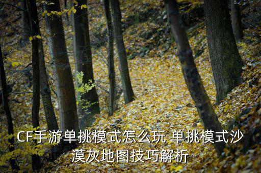 CF手游单挑模式怎么玩 单挑模式沙漠灰地图技巧解析