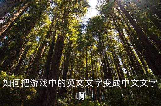 如何把游戏中的英文文字变成中文文字啊