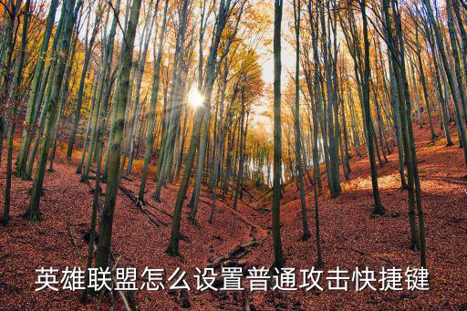 联盟手游快捷攻击怎么设置，英雄联盟按a键自动攻击怎么调有图最好