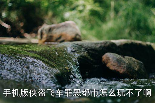 手机版侠盗飞车罪恶都市怎么玩不了啊