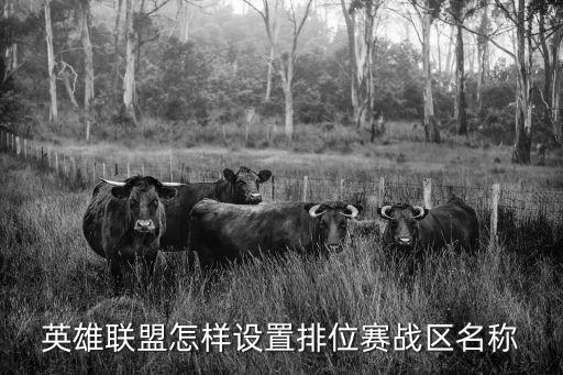 英雄联盟手游不能设置战区怎么弄，英雄联盟怎样设置排位赛战区名称