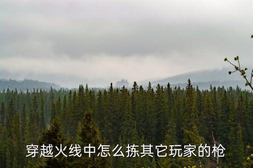 火线出击手游怎么捡枪支，火线里怎么捡敌人的枪啊