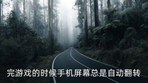 完游戏的时候手机屏幕总是自动翻转