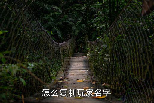 怎么复制玩家名字