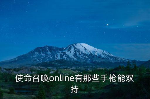 使命召唤online有那些手枪能双持