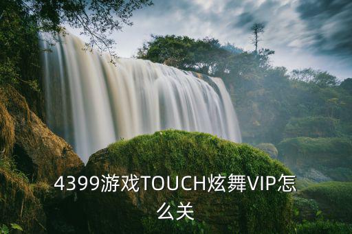 4399游戏TOUCH炫舞VIP怎么关