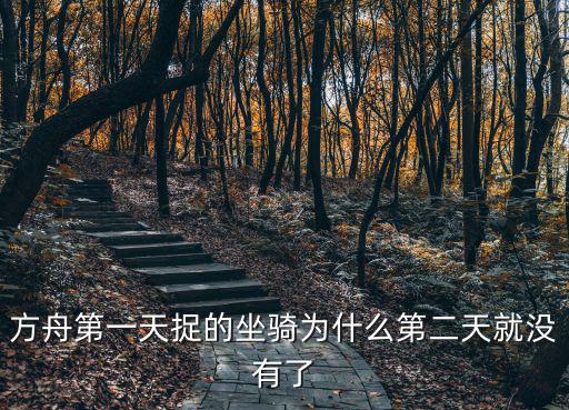 方舟第一天捉的坐骑为什么第二天就没有了
