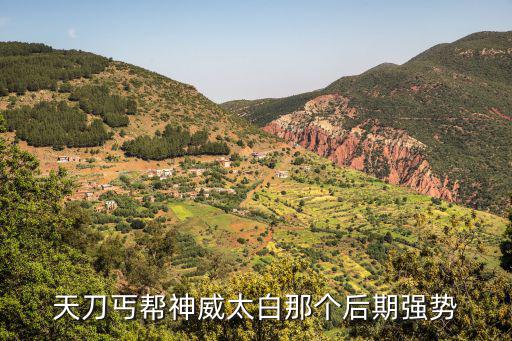 天刀手游神威怎么洗练才能肉，天刀神威和真武的优缺点