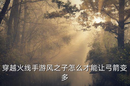穿越火线手游风之子怎么才能让弓箭变多