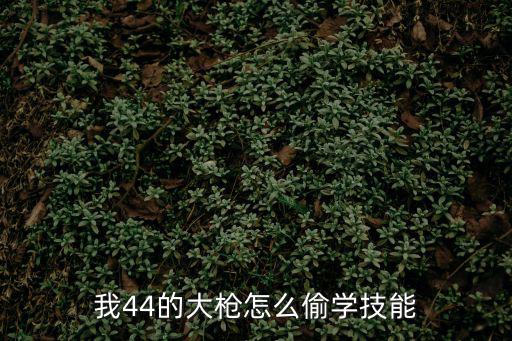 我44的大枪怎么偷学技能