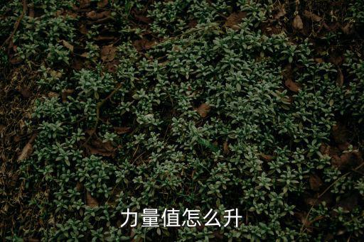 问道手游力量等级怎么提升，力量值怎么升