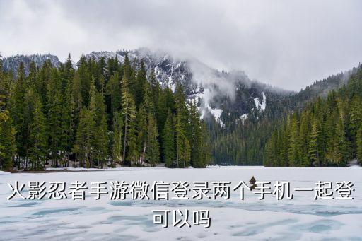 火影忍者手游微信登录两个手机一起登可以吗