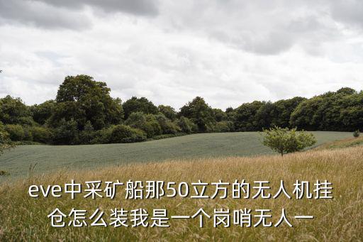eve中采矿船那50立方的无人机挂仓怎么装我是一个岗哨无人一
