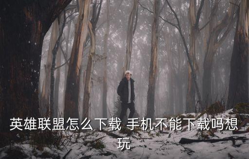 英雄联盟怎么下载 手机不能下载吗想玩