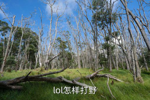 手游联盟先锋怎么打野，英雄联盟打野技巧