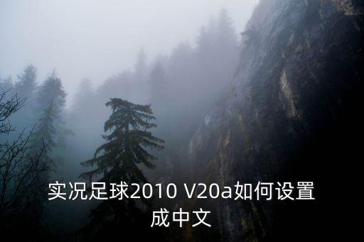 实况足球2010 V20a如何设置成中文