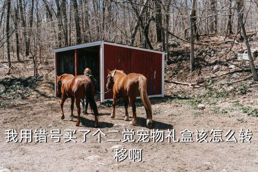方舟手游礼盒怎么转移，方舟手游里TEK Kibble processor 是什么该怎么用