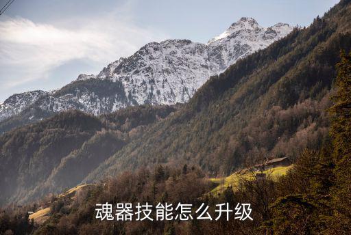 魂器技能怎么升级