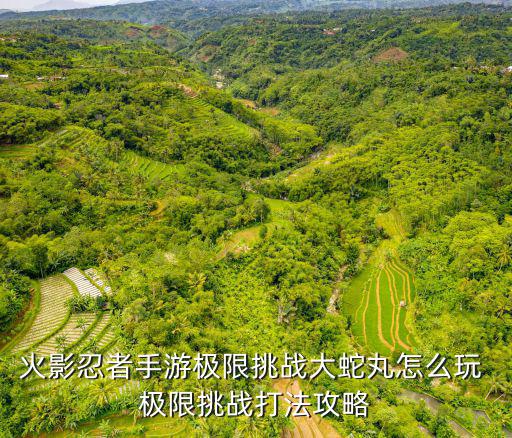火影忍者手游极限挑战大蛇丸怎么玩 极限挑战打法攻略