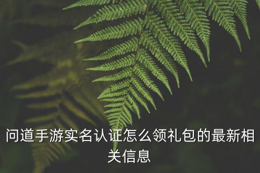 问道手游实名认证怎么领礼包的最新相关信息