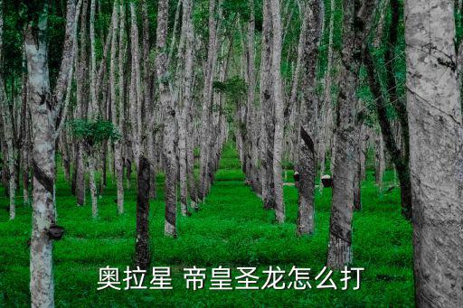 奥拉星 帝皇圣龙怎么打