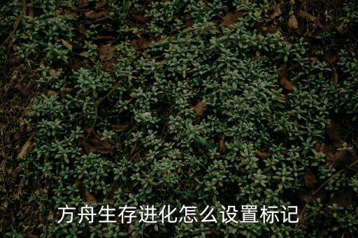 方舟生存进化怎么设置标记