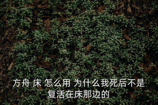 方舟手游怎么把床放在洞穴，方舟生存进化游戏里面的木筏上面可以放床吗