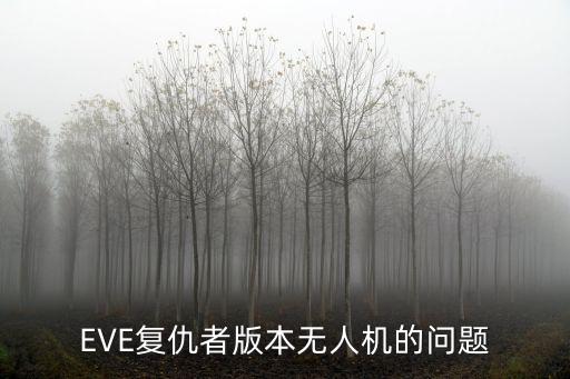 EVE复仇者版本无人机的问题