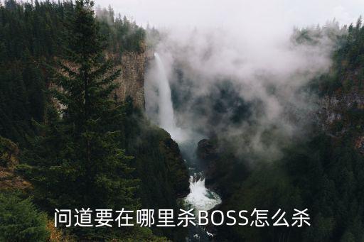 问道手游新boss怎么打，问道BOOS怎么杀