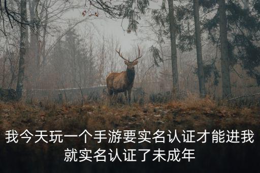 我今天玩一个手游要实名认证才能进我就实名认证了未成年