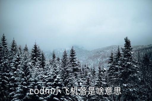 codm小飞机落是啥意思