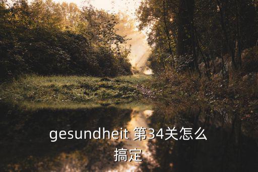 gesundheit 第34关怎么搞定