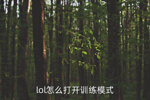 lol怎么打开训练模式