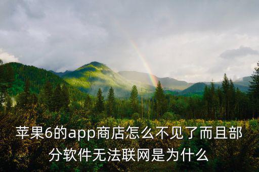 苹果6的app商店怎么不见了而且部分软件无法联网是为什么