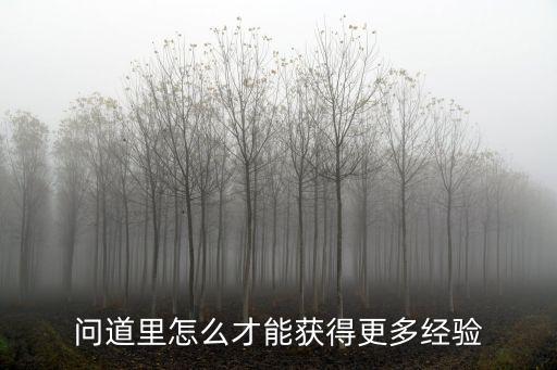 问道里怎么才能获得更多经验