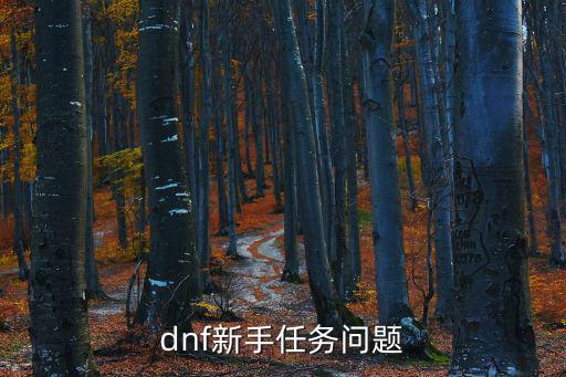 dnf手游冒险图鉴任务怎么放弃，dnf新手任务问题