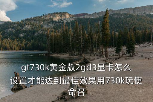 gt730k黄金版2gd3显卡怎么设置才能达到最佳效果用730k玩使命召