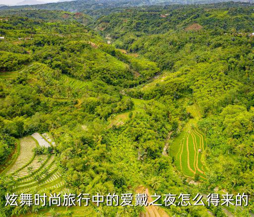 手游炫舞奢宴之夜怎么得，炫舞时尚旅行中的爱戴之夜怎么得来的
