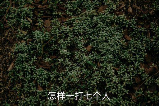 怎样一打七个人