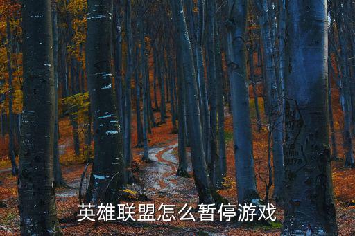 英雄联盟怎么暂停游戏