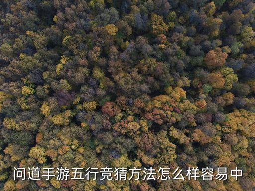 问道手游五行竞猜方法怎么样容易中
