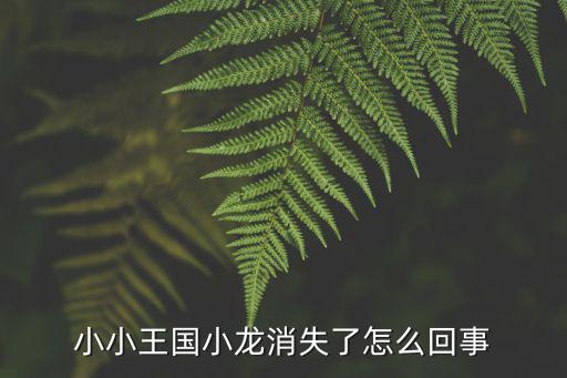 小小王国小龙消失了怎么回事