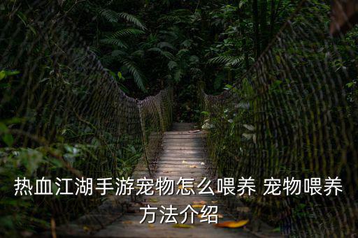 热血江湖手游怎么种植水果，热血江湖手游宠物怎么喂养 宠物喂养方法介绍