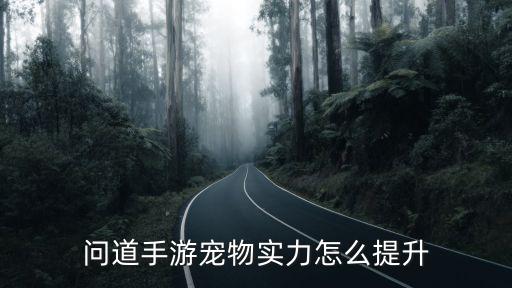 问道手游宠物实力怎么提升