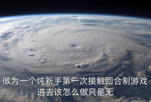 做为一个纯新手第一次接触回合制游戏进去该怎么做只是无