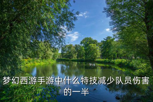 梦幻西游手游中什么特技减少队员伤害的一半