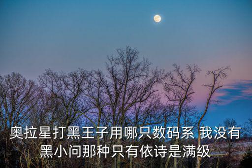奥拉星打黑王子用哪只数码系 我没有黑小问那种只有依诗是满级